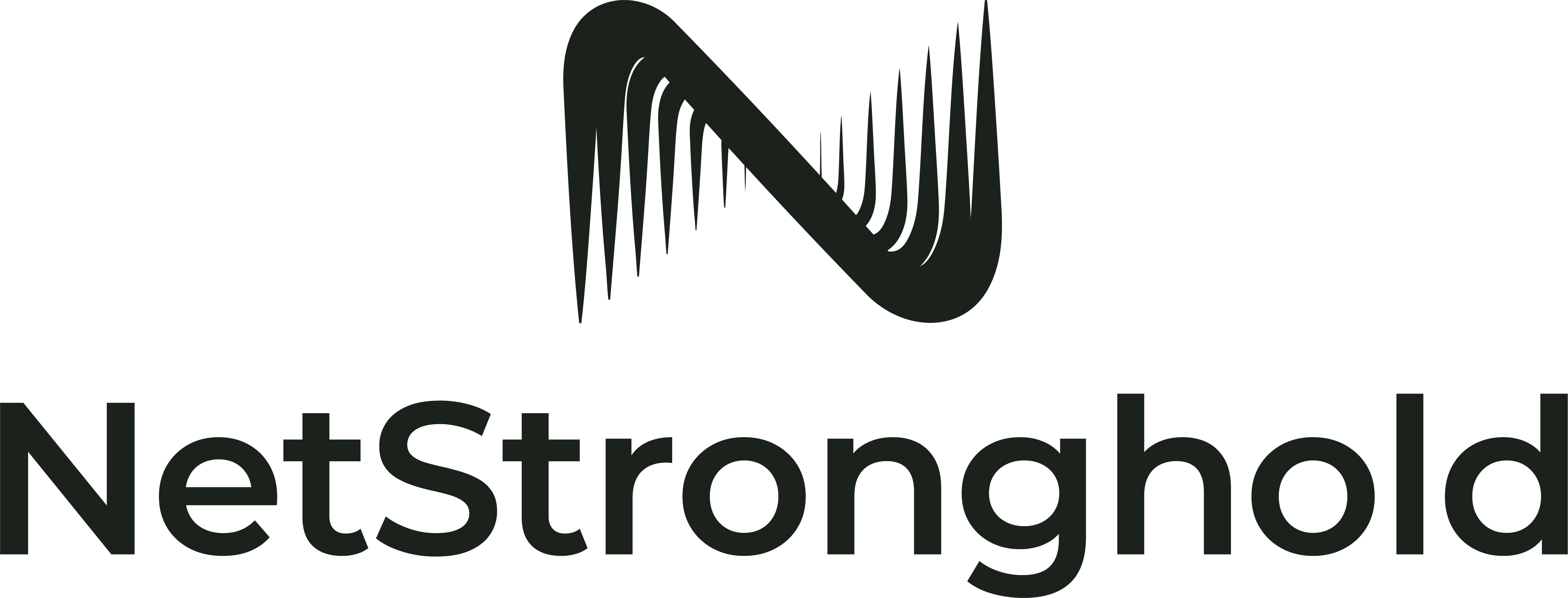 NetStronghold Salesforce Consultancy